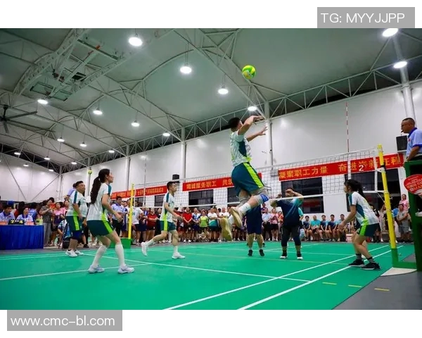 深度对话：周伟谈排球人生的起伏与追梦之路